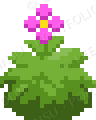 darkforest pet herb idle
